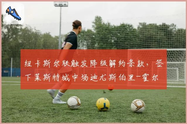 纽卡斯尔联触发降级解约条款，签下莱斯特城中场迪尤斯伯里-霍尔