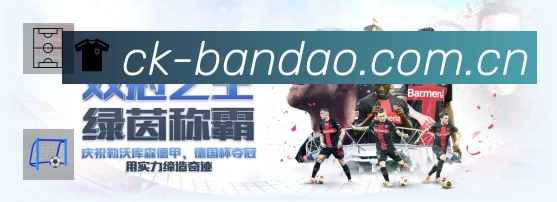 体育平台欢迎图